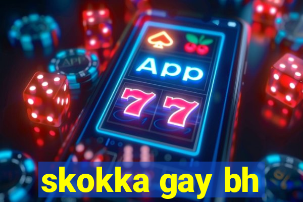 skokka gay bh